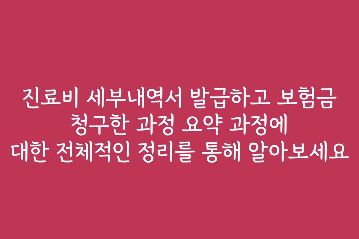 진료비 세부내역서 발급하고 보험금 청구한 과정 요약 과정에 대한 전체적인 정리를 통해 알아보세요