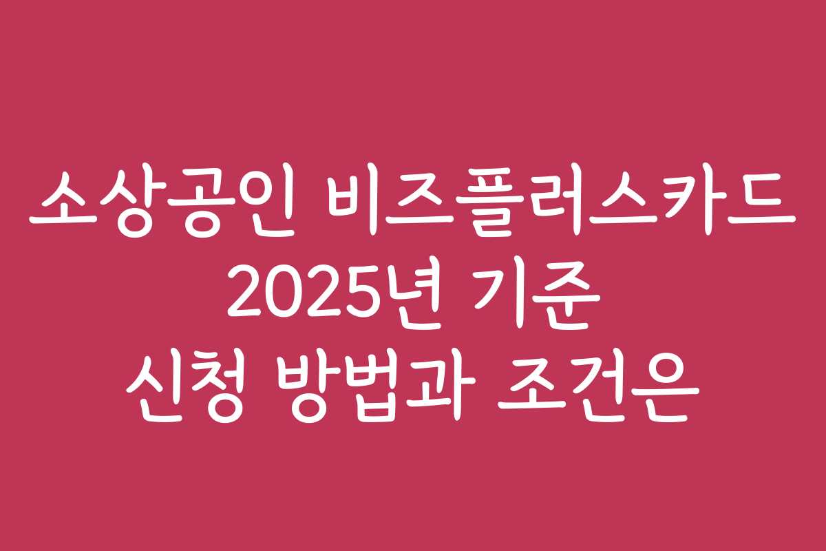 소상공인 비즈플러스카드 2025년 기준 신청 방법과 조건은