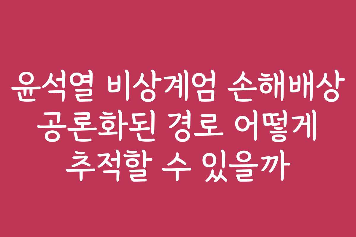 윤석열 비상계엄 손해배상 공론화된 경로 어떻게 추적할 수 있을까