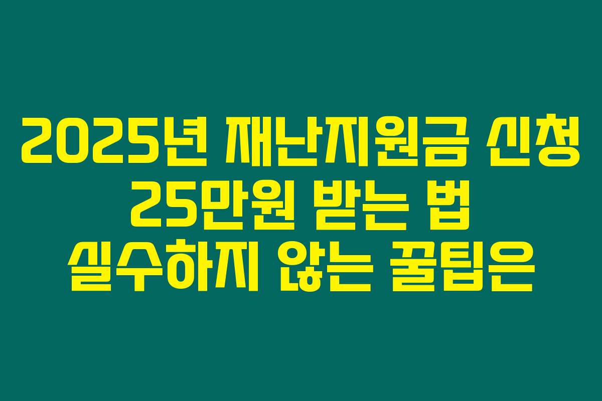 2025년 재난지원금 신청 25만원 받는 법 실수하지 않는 꿀팁은