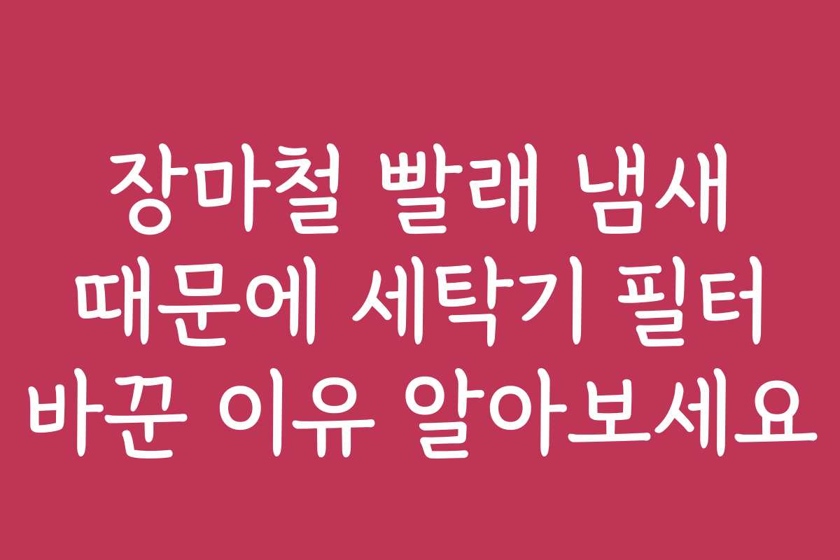 장마철 빨래 냄새 때문에 세탁기 필터 바꾼 이유 알아보세요