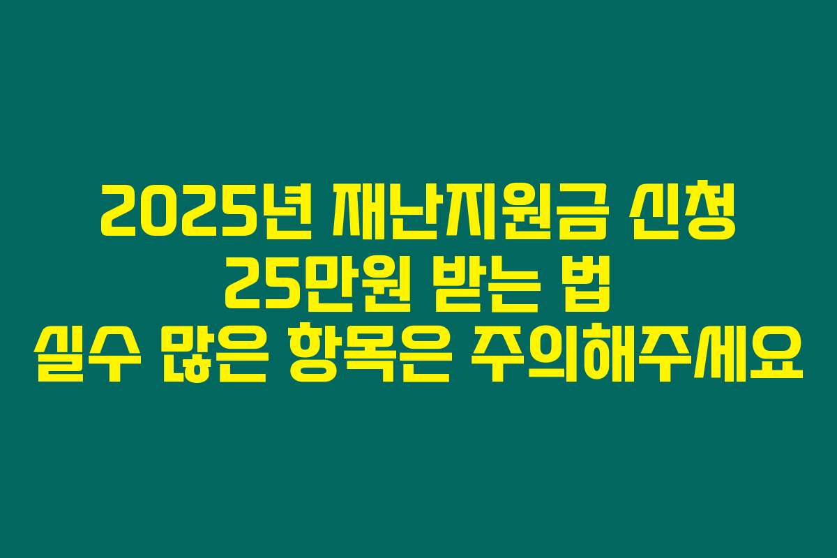 2025년 재난지원금 신청 25만원 받는 법 실수 많은 항목은 주의해주세요