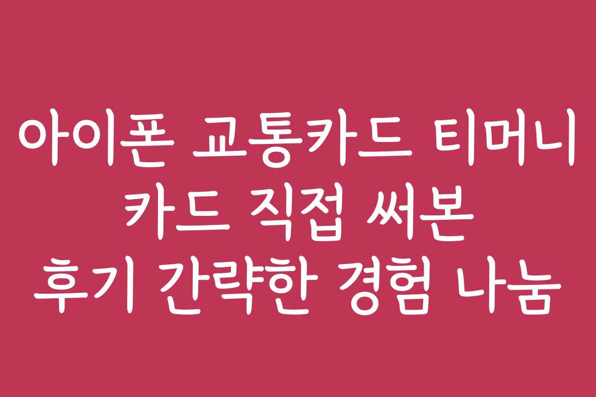 아이폰 교통카드 티머니 카드 직접 써본 후기 간략한 경험 나눔