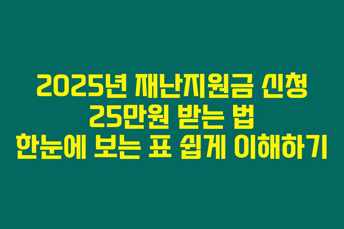 2025년 재난지원금 신청 25만원 받는 법 한눈에 보는 표 쉽게 이해하기