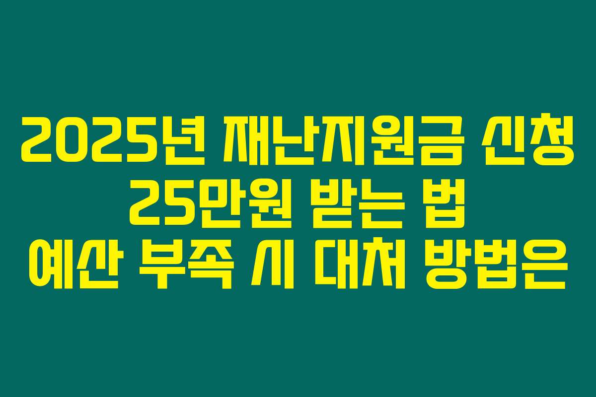 2025년 재난지원금 신청 25만원 받는 법 예산 부족 시 대처 방법은