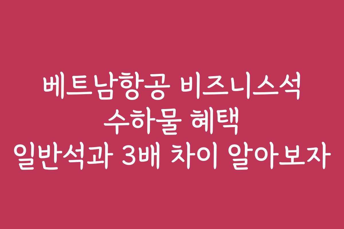 베트남항공 비즈니스석 수하물 혜택 일반석과 3배 차이 알아보자