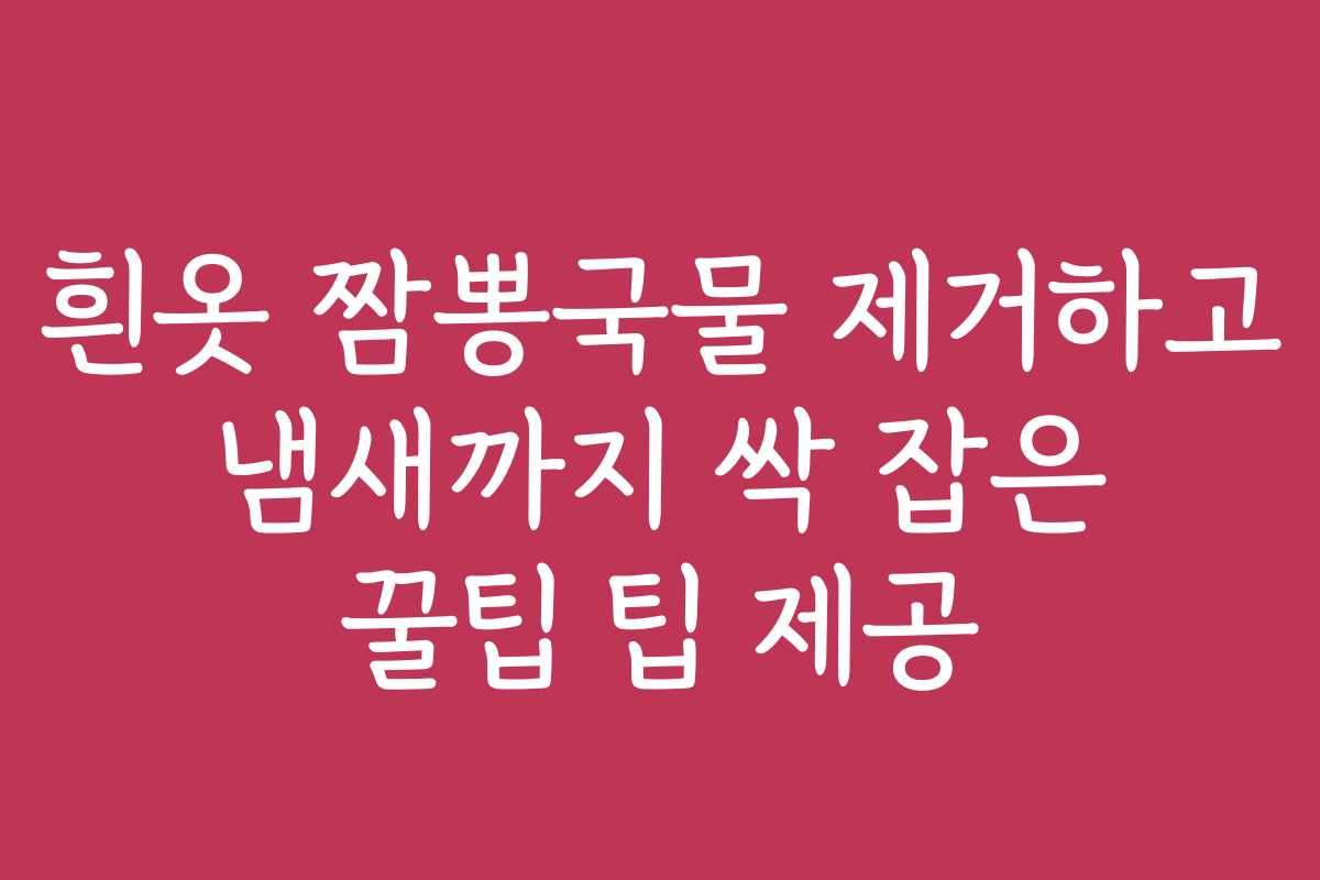 흰옷 짬뽕국물 제거하고 냄새까지 싹 잡은 꿀팁 팁 제공