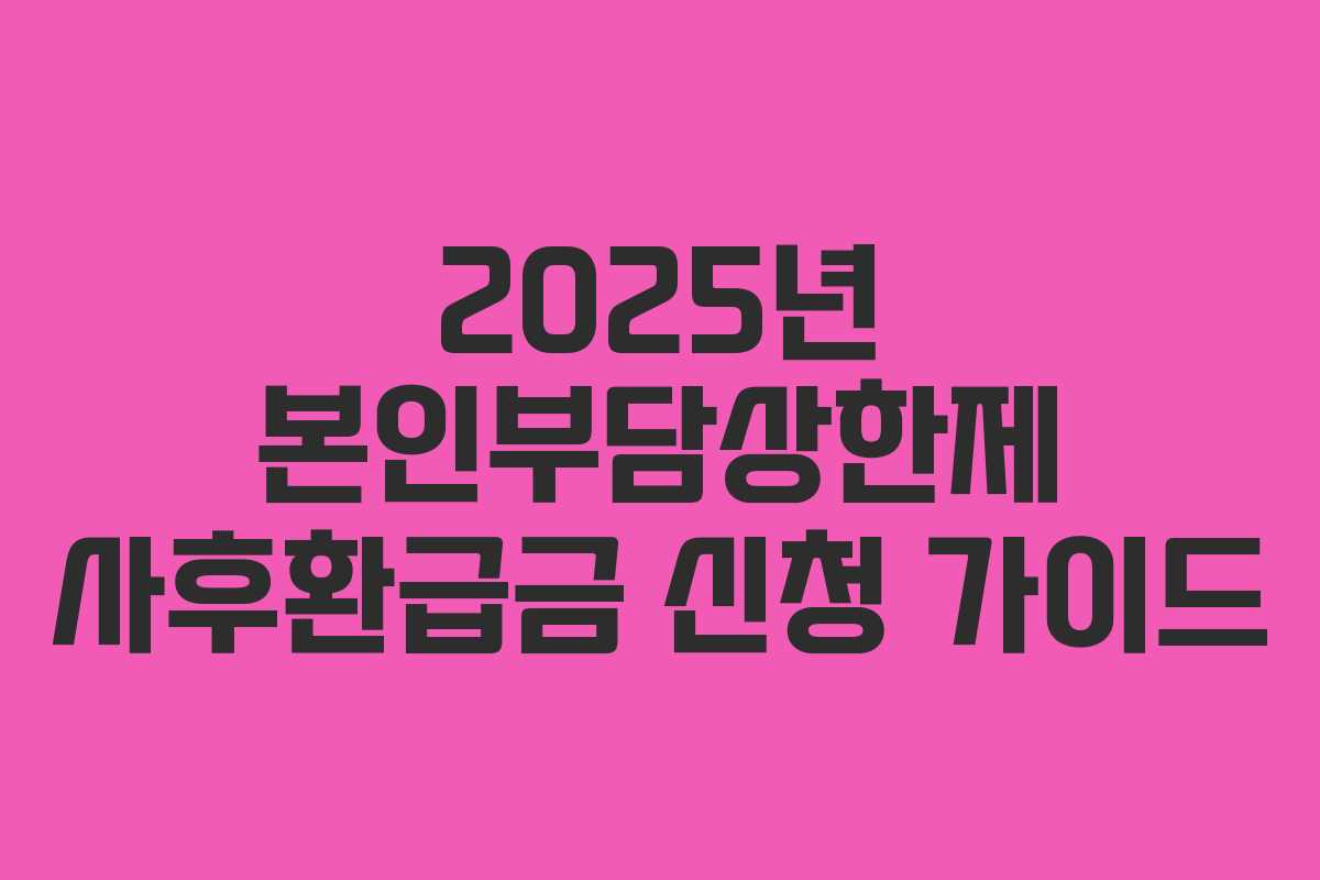 2025년 본인부담상한제 사후환급금 신청 가이드