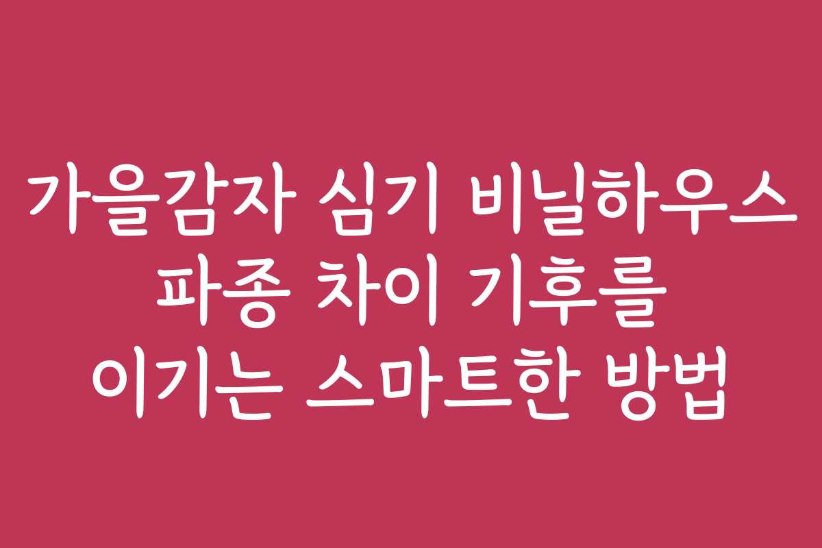 가을감자 심기 비닐하우스 파종 차이 기후를 이기는 스마트한 방법