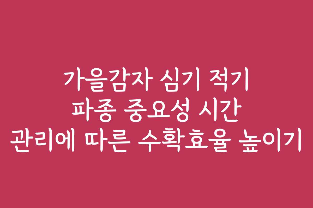 가을감자 심기 적기 파종 중요성 시간 관리에 따른 수확효율 높이기