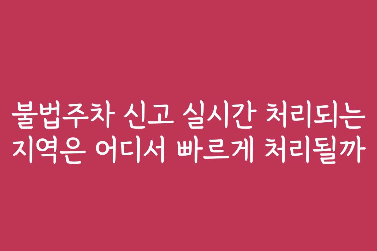 불법주차 신고 실시간 처리되는 지역은 어디서 빠르게 처리될까