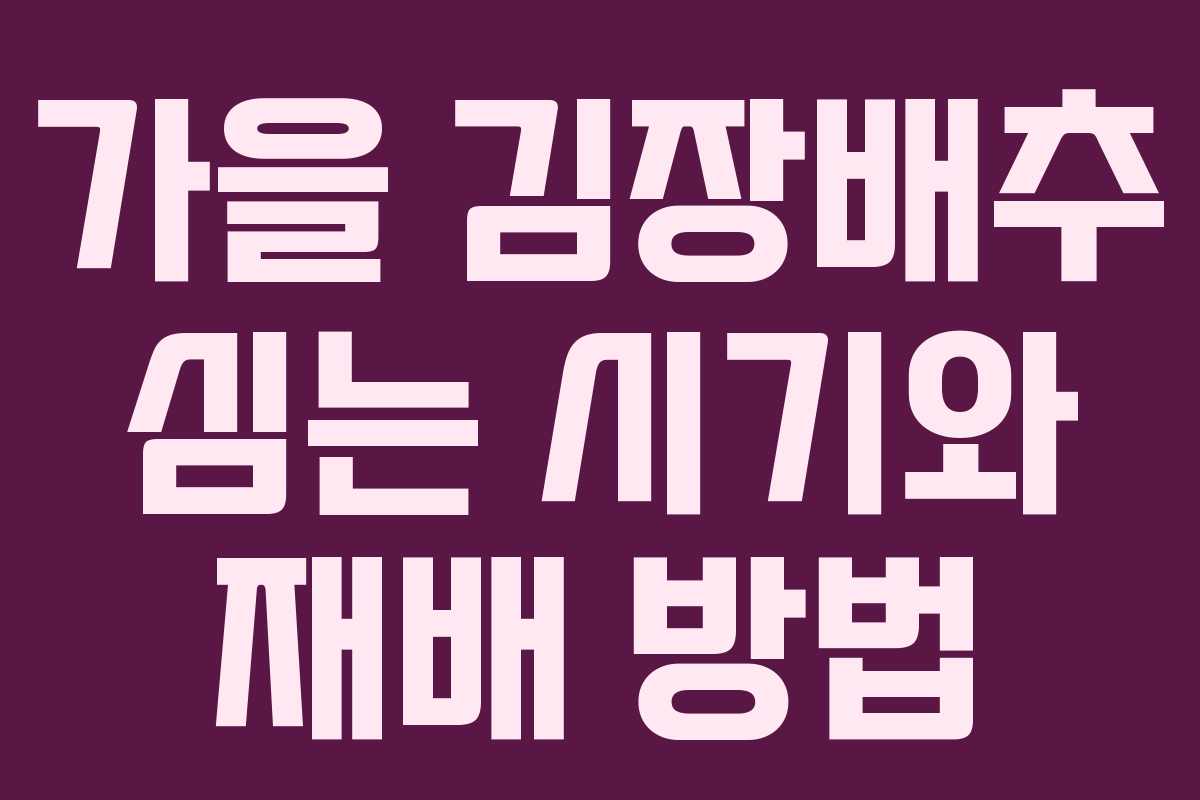 가을 김장배추 심는 시기와 재배 방법