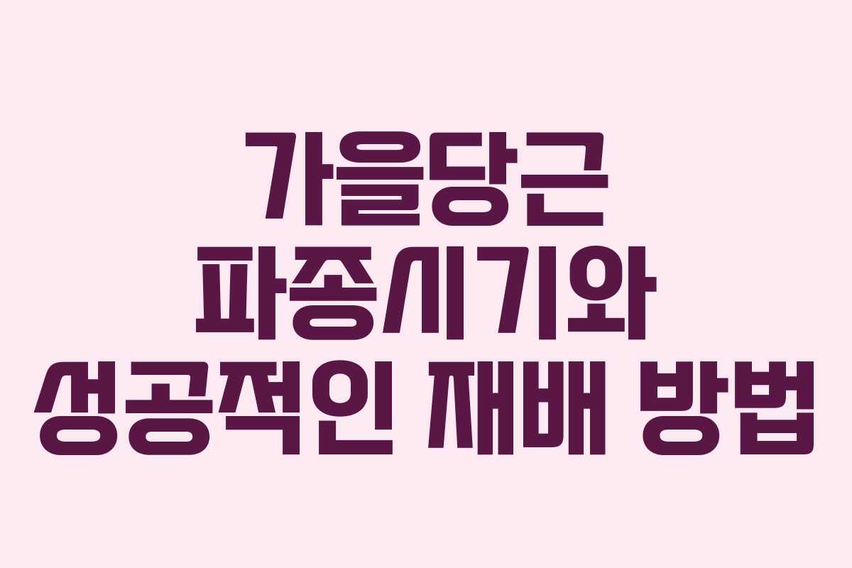 가을당근 파종시기와 성공적인 재배 방법