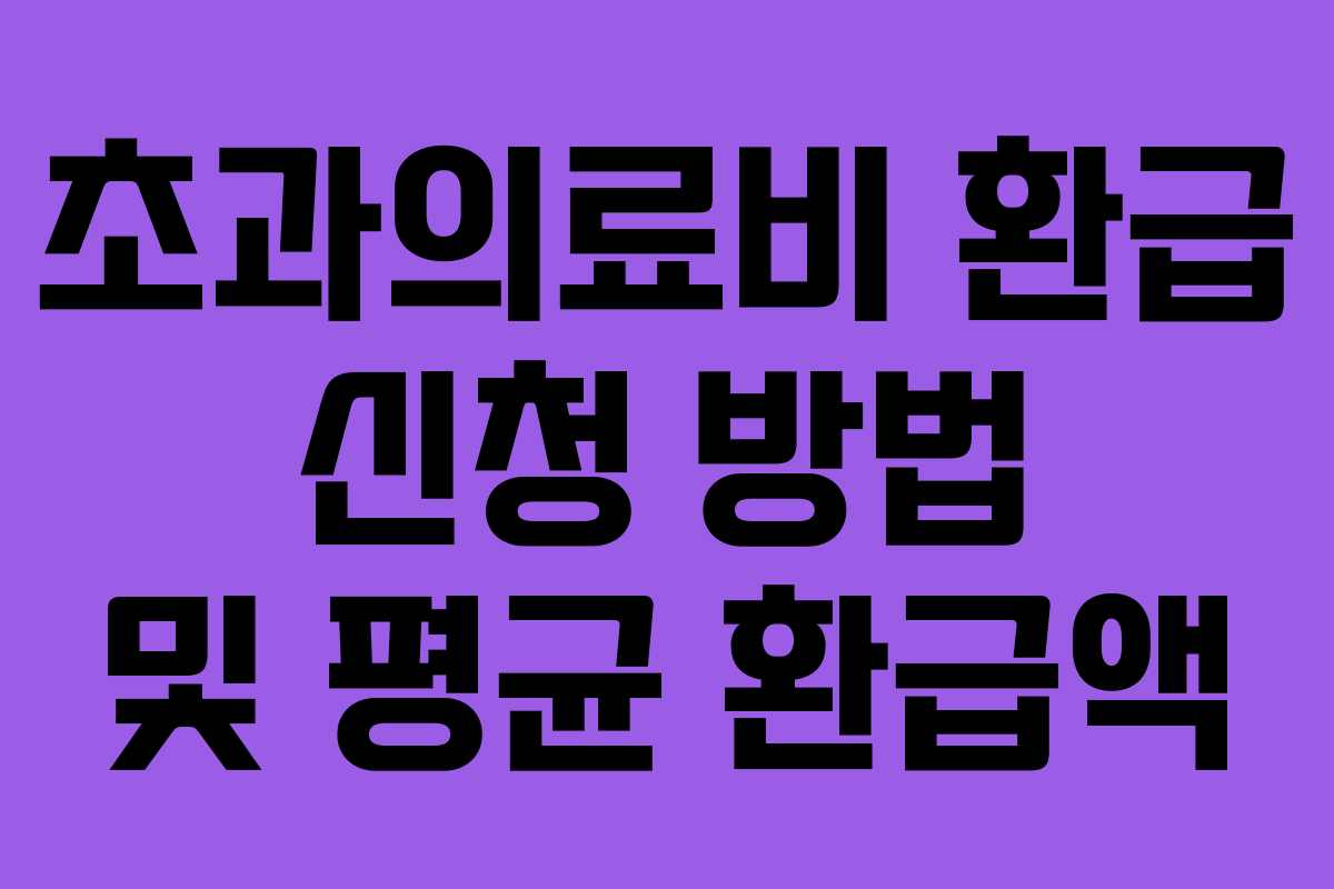 초과의료비 환급 신청 방법 및 평균 환급액