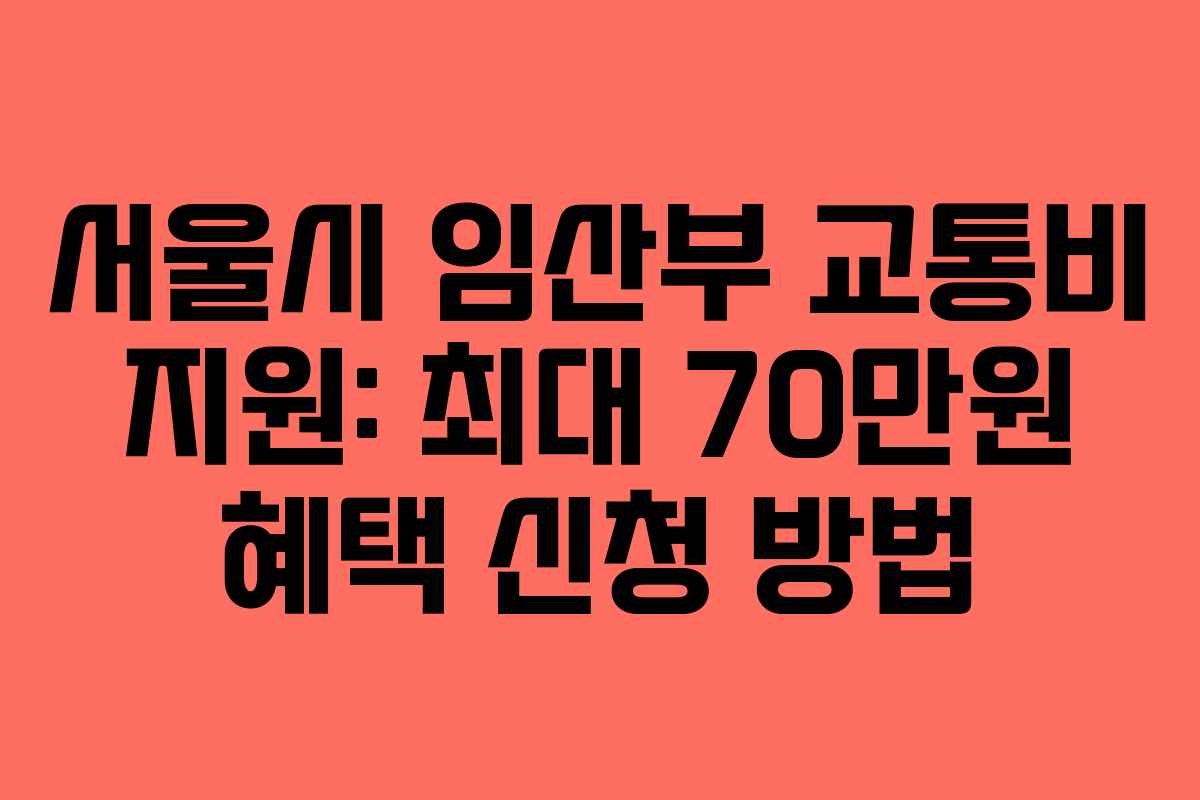 서울시 임산부 교통비 지원: 최대 70만원 혜택 신청 방법