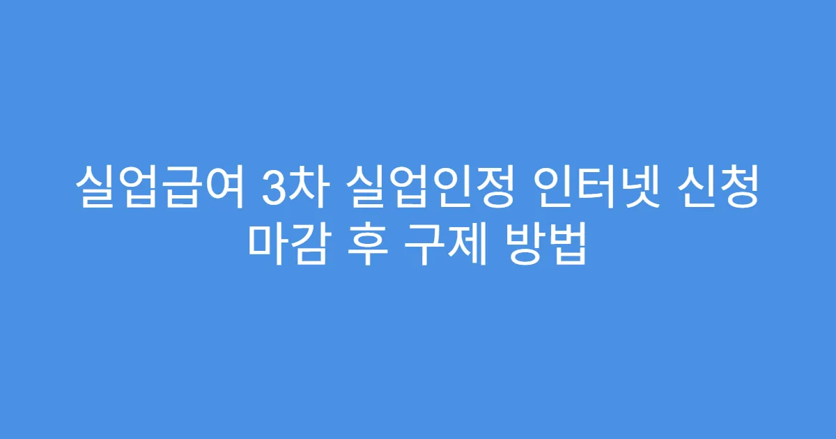 실업급여 3차 실업인정 인터넷 신청 마감 후 구제 방법