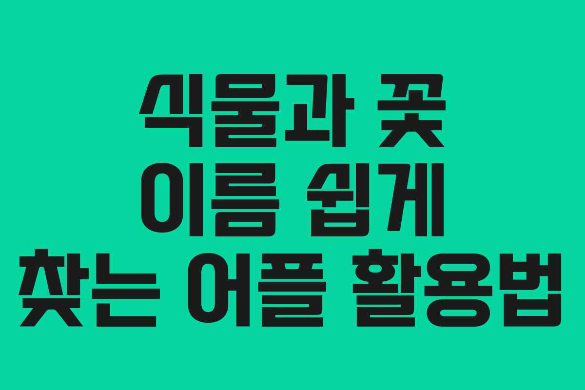 식물과 꽃 이름 쉽게 찾는 어플 활용법
