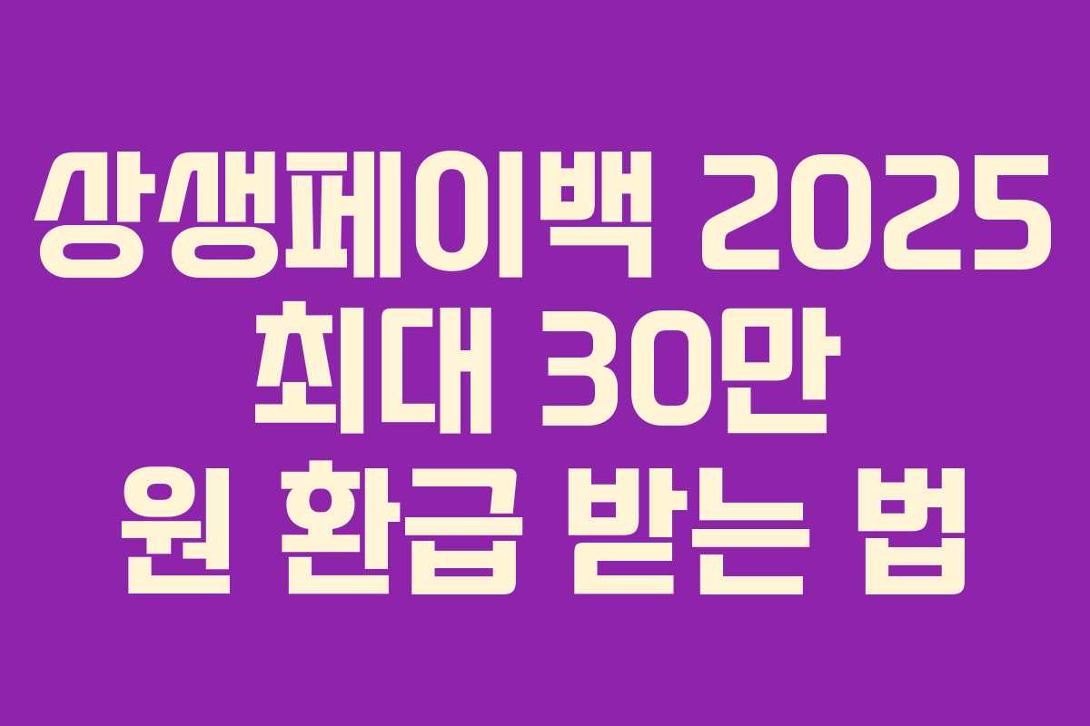 상생페이백 2025 최대 30만 원 환급 받는 법