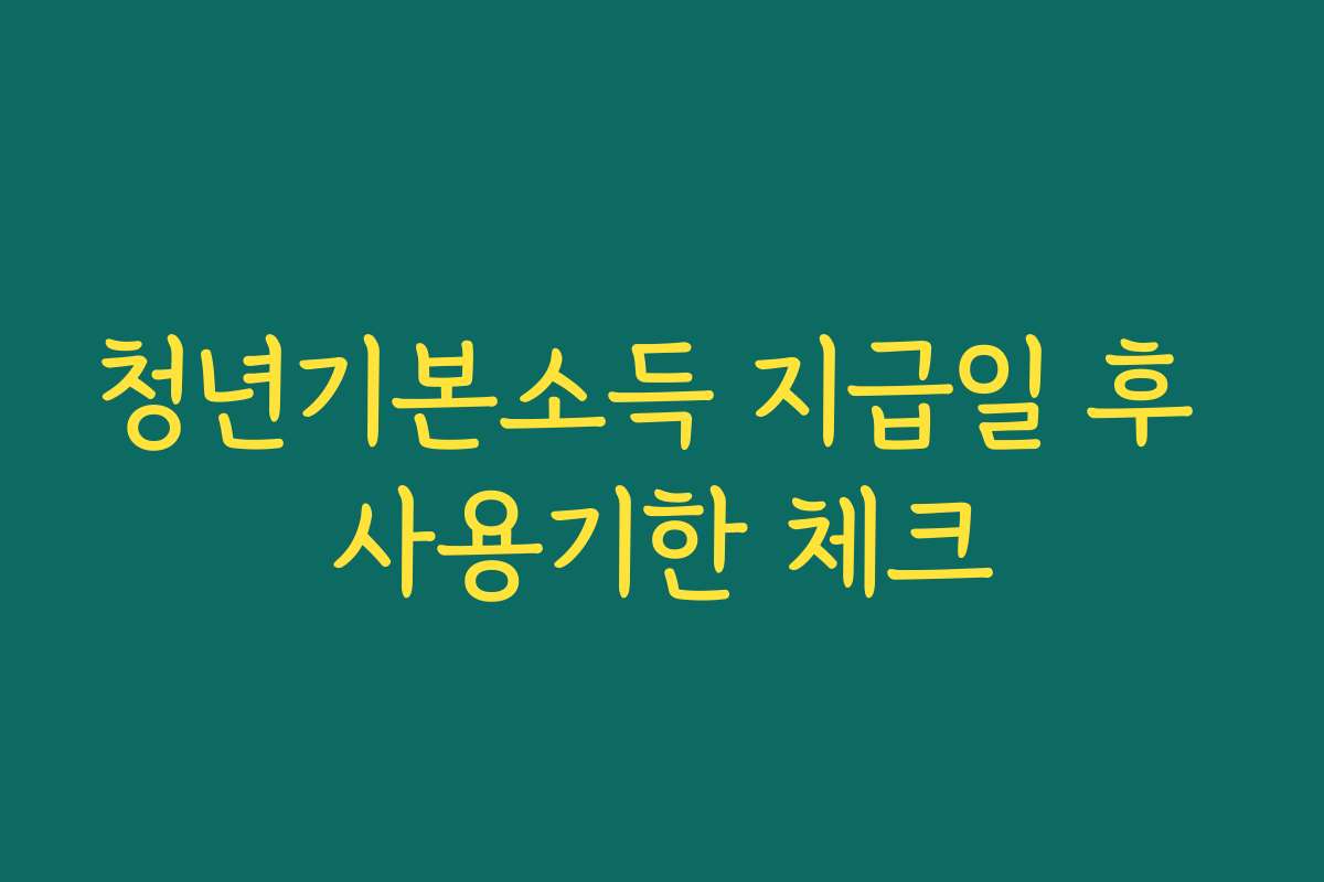 청년기본소득 지급일 후 사용기한 체크