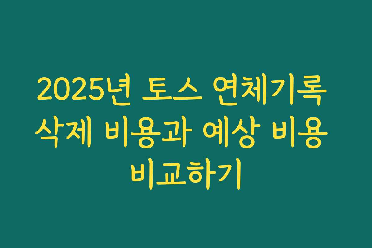 2025년 토스 연체기록 삭제 비용과 예상 비용 비교하기