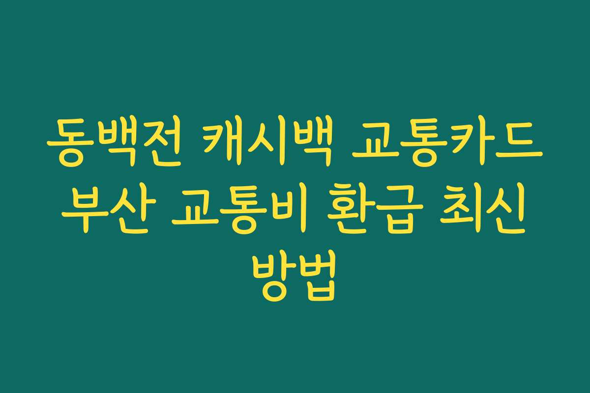 동백전 캐시백 교통카드 부산 교통비 환급 최신 방법 동백전 캐시백 교통카드 부산 교통비 환급 최신 방법
