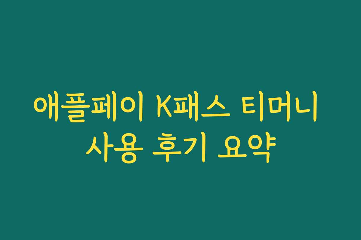 애플페이 K패스 티머니 사용 후기 요약 애플페이 K패스 티머니 사용 후기 요약