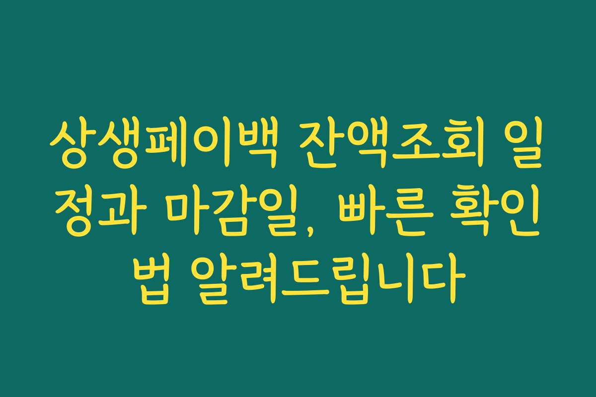 상생페이백 잔액조회 일정과 마감일, 빠른 확인법 알려드립니다