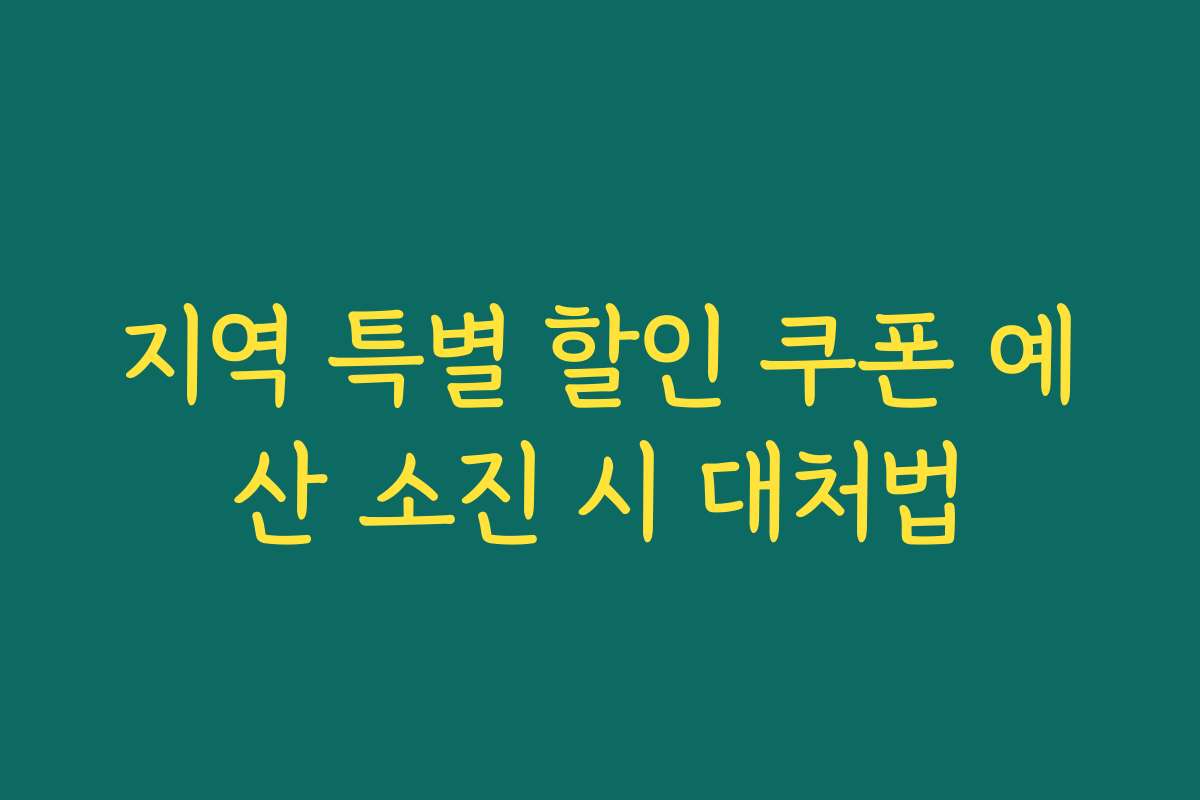 지역 특별 할인 쿠폰 예산 소진 시 대처법 지역 특별 할인 쿠폰 예산 소진 시 대처법