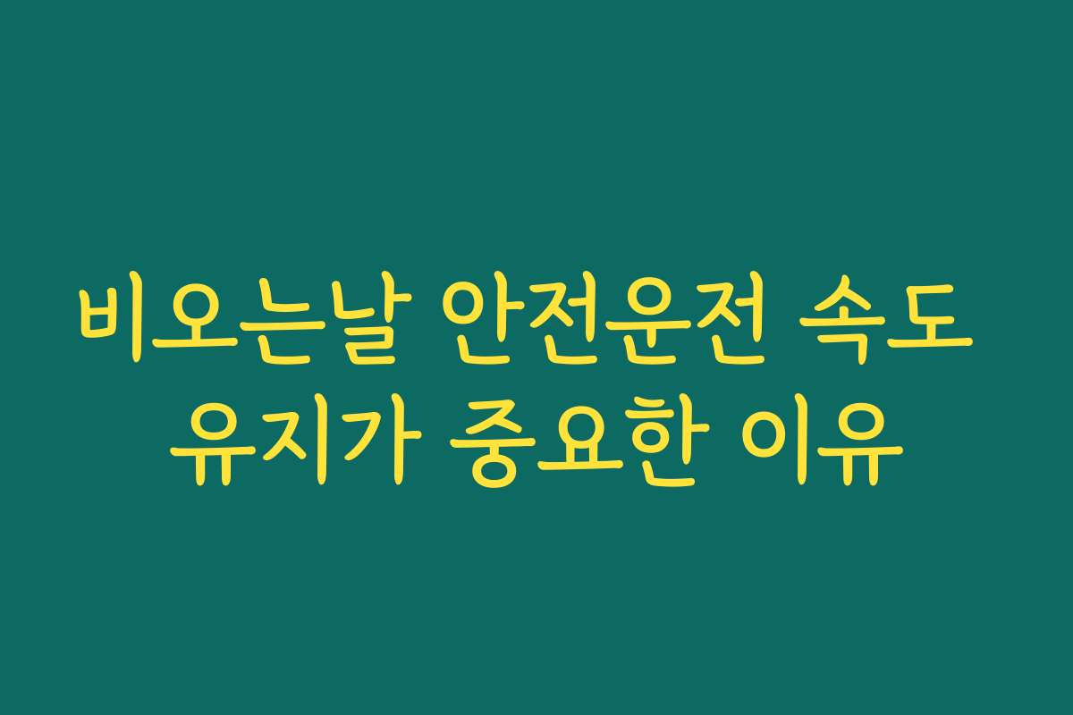 비오는날 안전운전 속도 유지가 중요한 이유