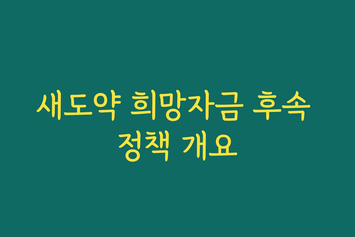 새도약 희망자금 후속 정책 개요