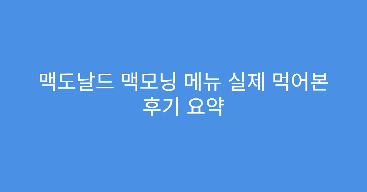 맥도날드 맥모닝 메뉴 실제 먹어본 후기 요약
