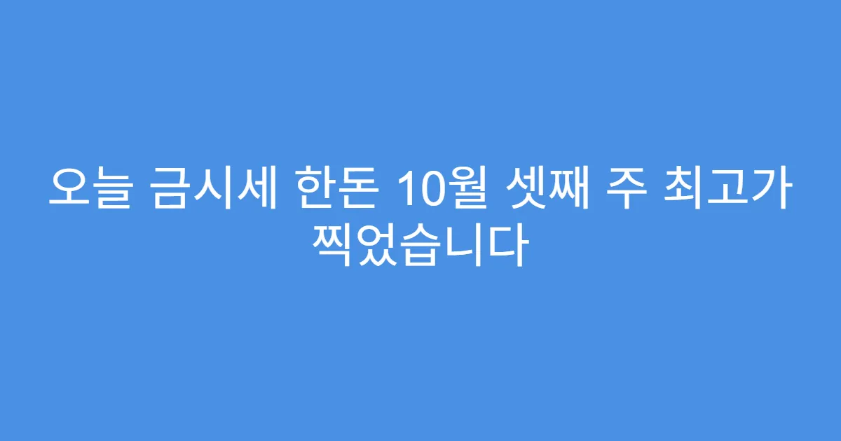 오늘 금시세 한돈 10월 셋째 주 최고가 찍었습니다