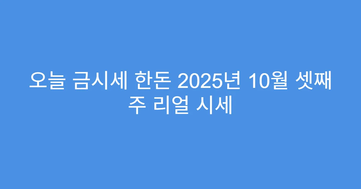 오늘 금시세 한돈 2025년 10월 셋째 주 리얼 시세