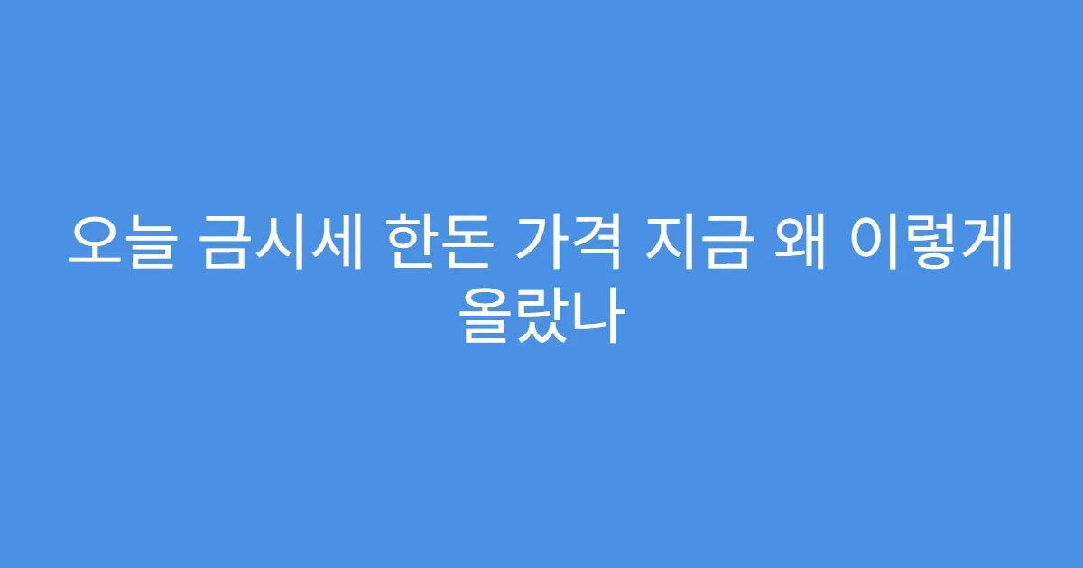 오늘 금시세 한돈 가격 지금 왜 이렇게 올랐나