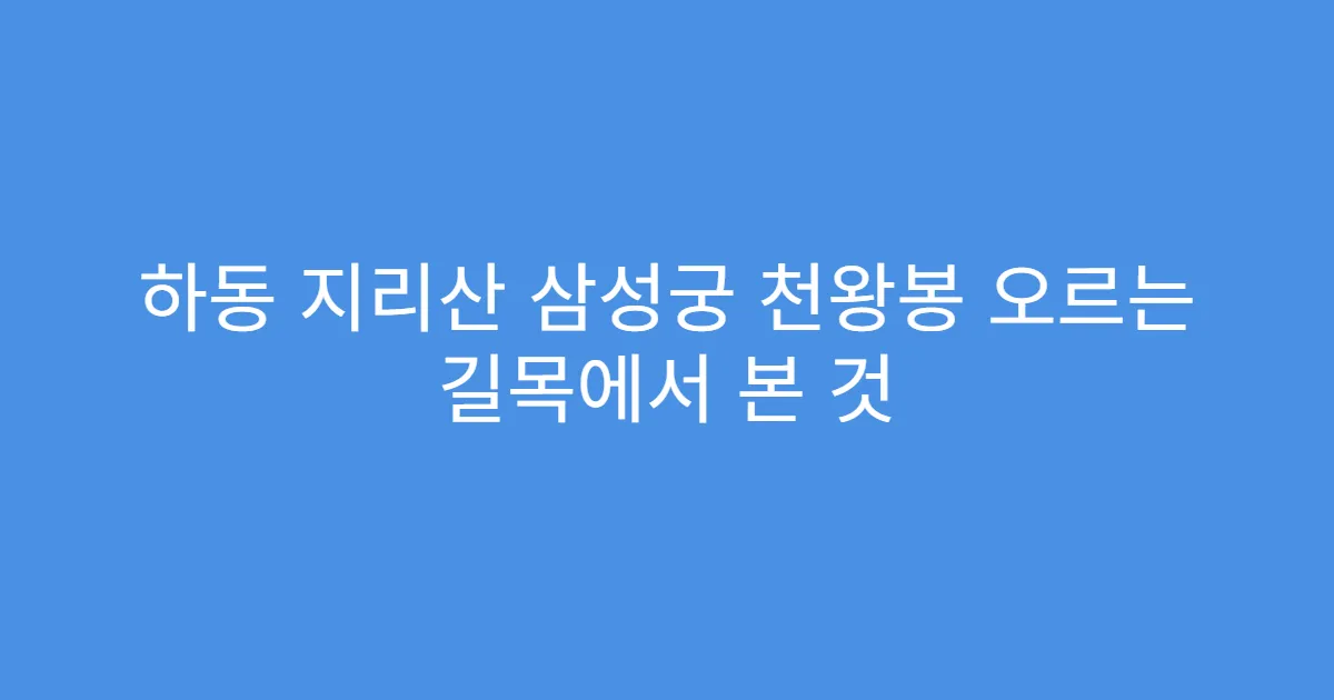 하동 지리산 삼성궁 천왕봉 오르는 길목에서 본 것