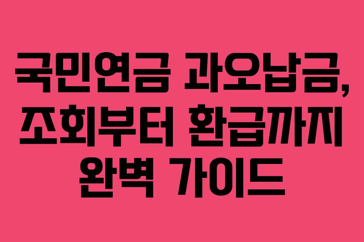 국민연금 과오납금, 조회부터 환급까지 완벽 가이드 국민연금 과오납금, 조회부터 환급까지 완벽 가이드