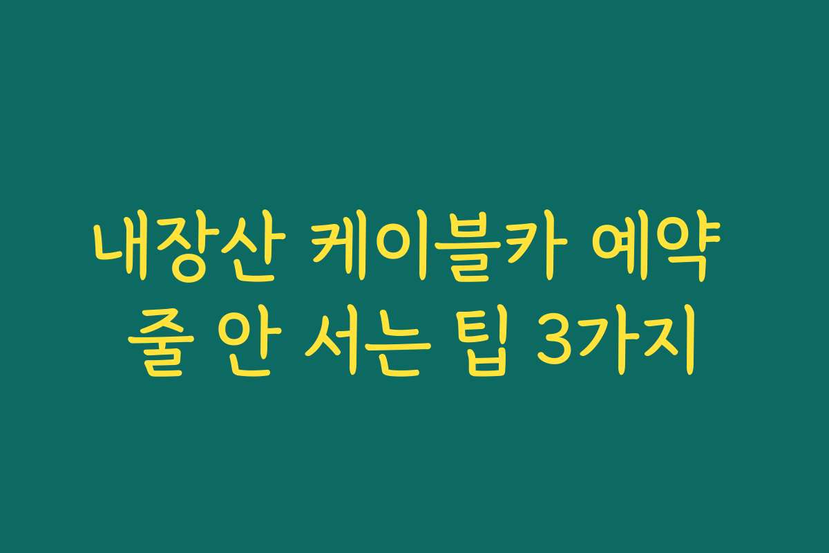 내장산 케이블카 예약 줄 안 서는 팁 3가지