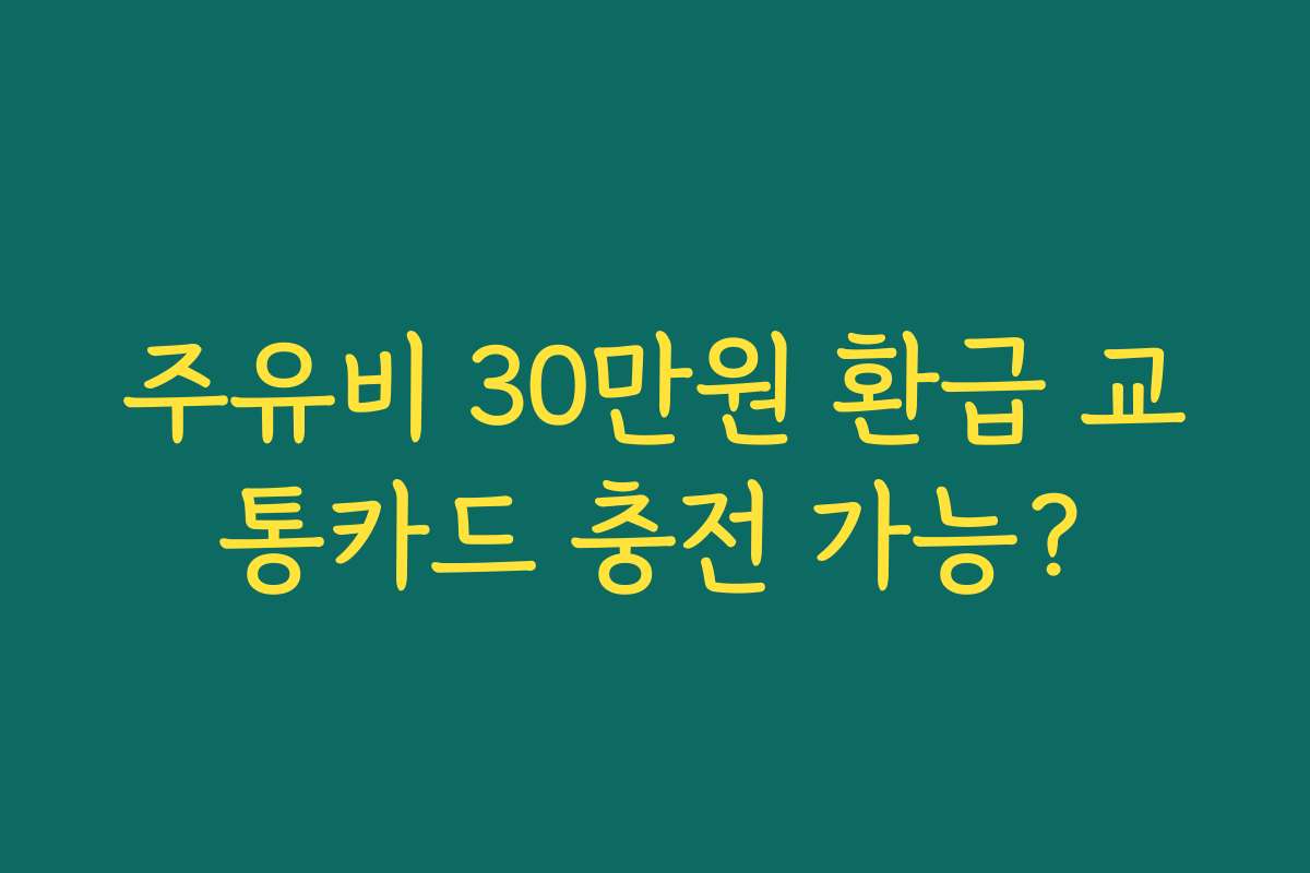 주유비 30만원 환급 교통카드 충전 가능?
