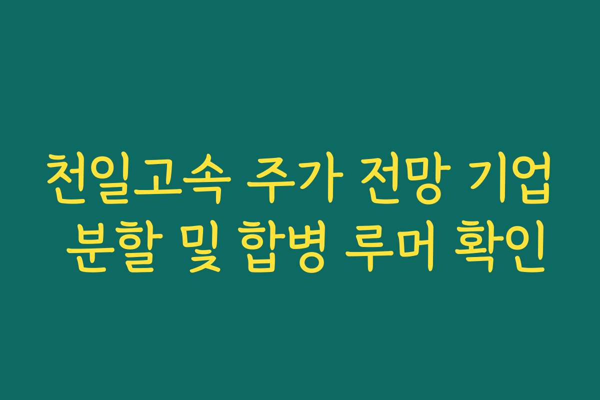 천일고속 주가 전망 기업 분할 및 합병 루머 확인