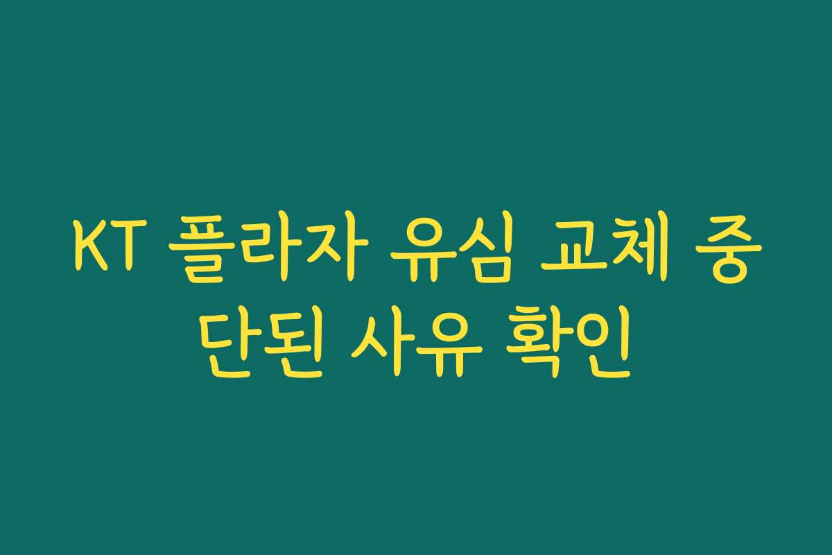KT 플라자 유심 교체 중단된 사유 확인