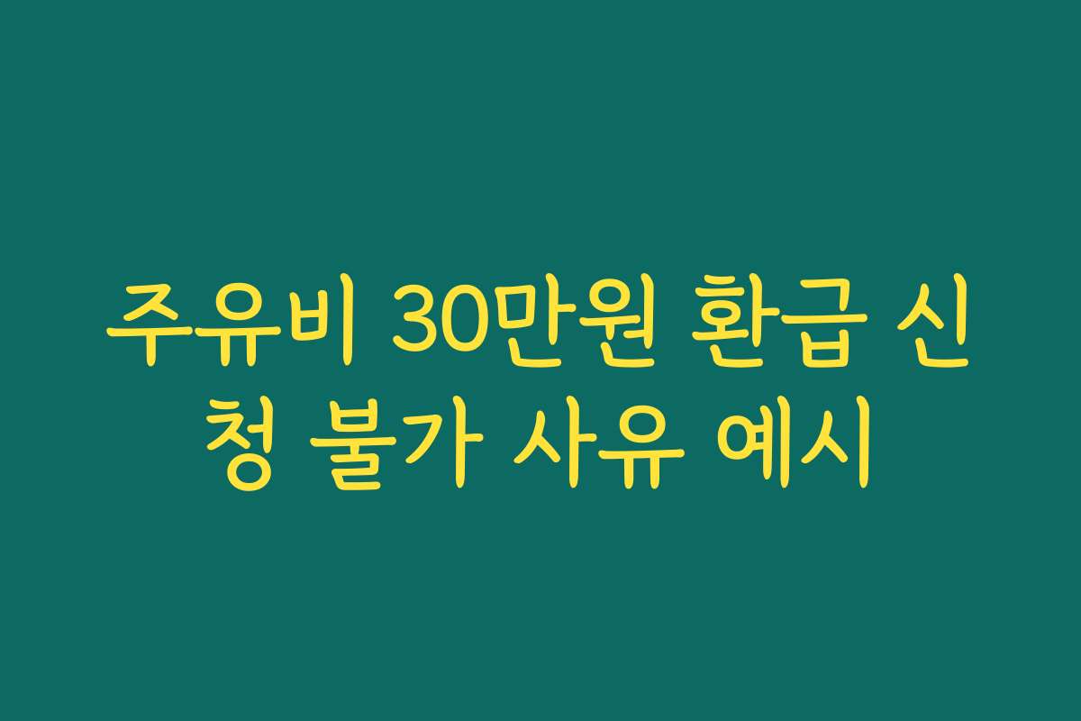 주유비 30만원 환급 신청 불가 사유 예시