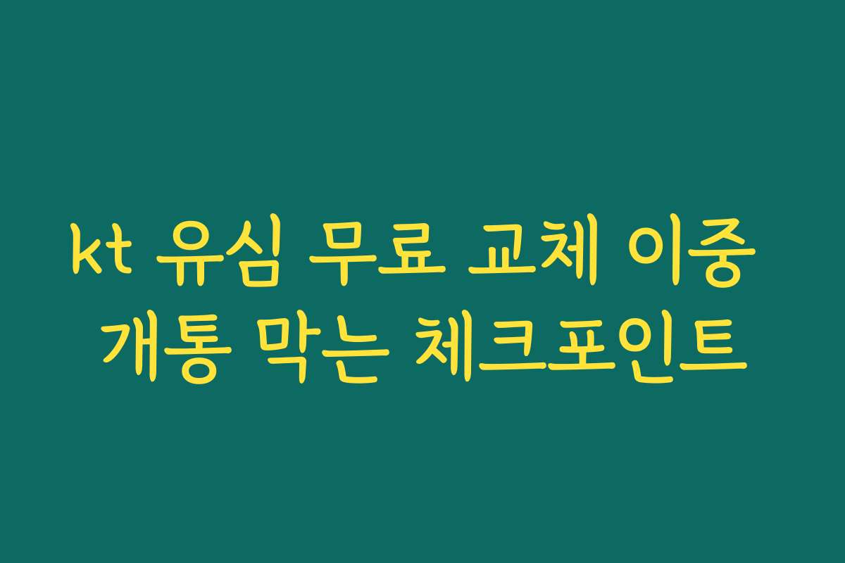 kt 유심 무료 교체 이중 개통 막는 체크포인트