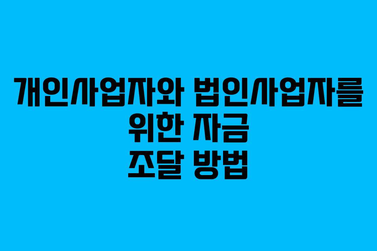 개인사업자와 법인사업자를 위한 자금 조달 방법