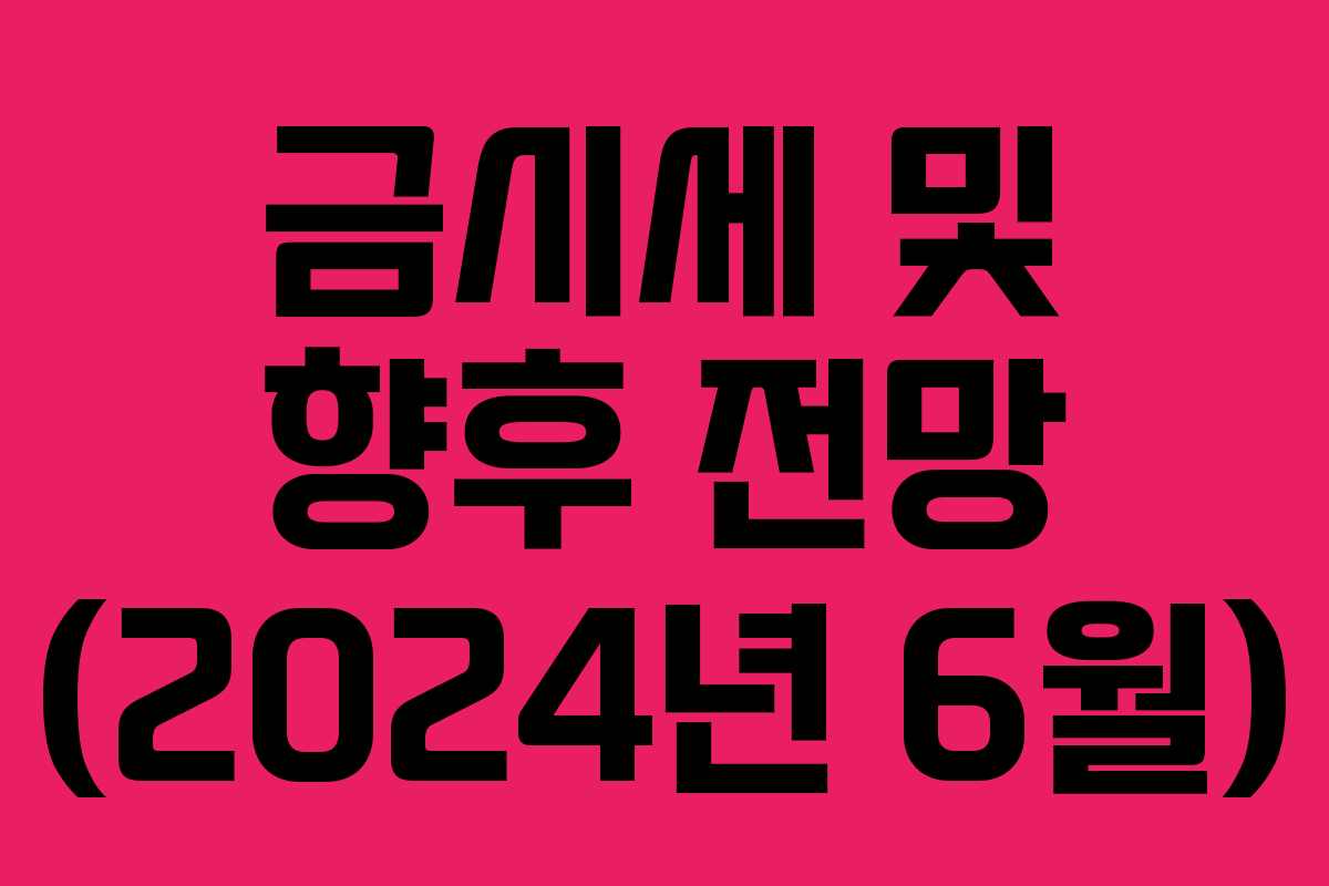 금시세 및 향후 전망 (2024년 6월)