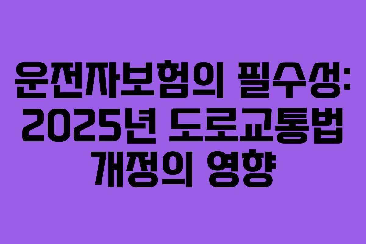 운전자보험의 필수성: 2025년 도로교통법 개정의 영향