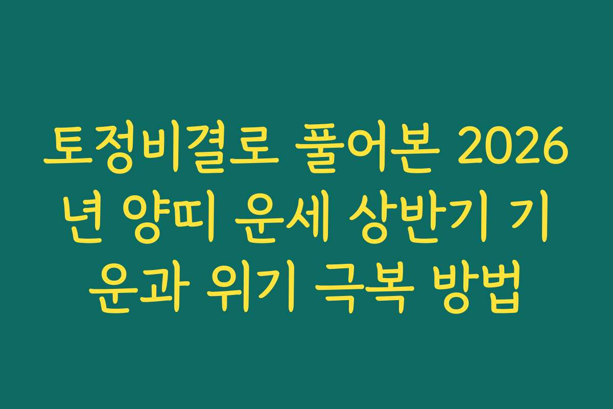 토정비결로 풀어본 2026년 양띠 운세 상반기 기운과 위기 극복 방법