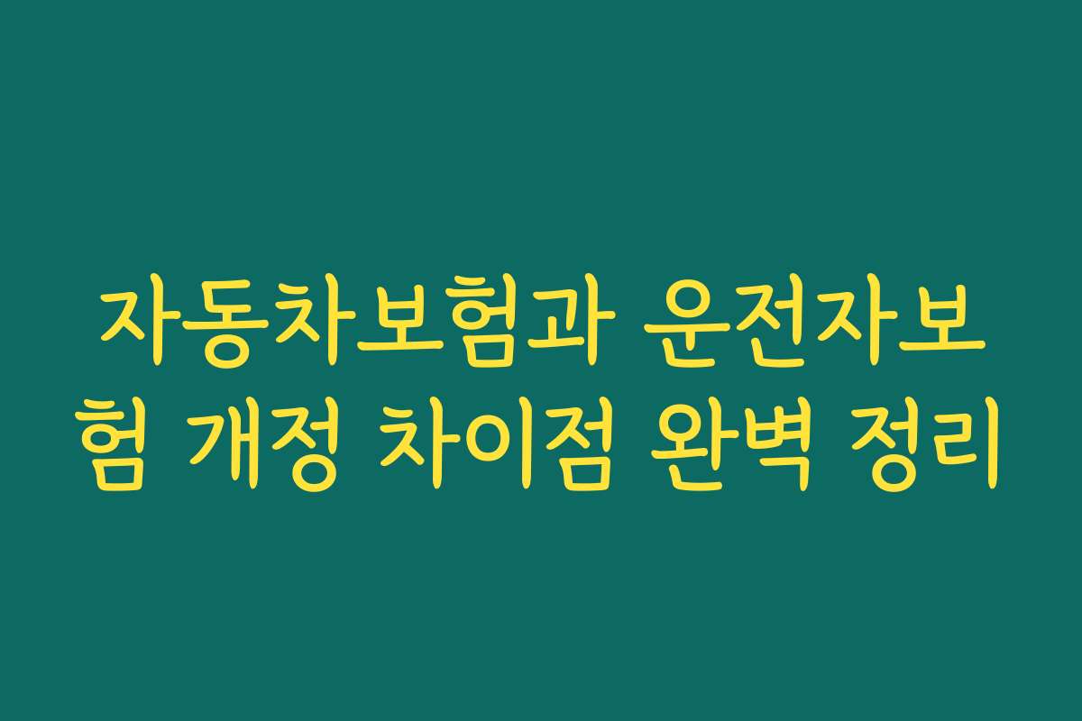 자동차보험과 운전자보험 개정 차이점 완벽 정리