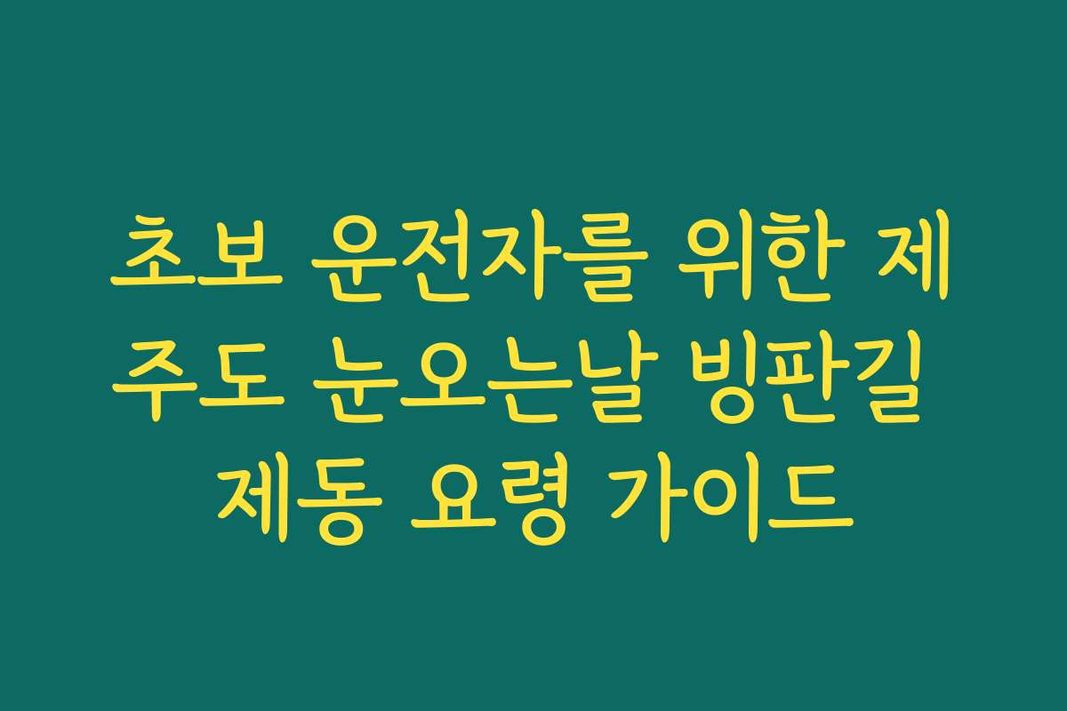 초보 운전자를 위한 제주도 눈오는날 빙판길 제동 요령 가이드