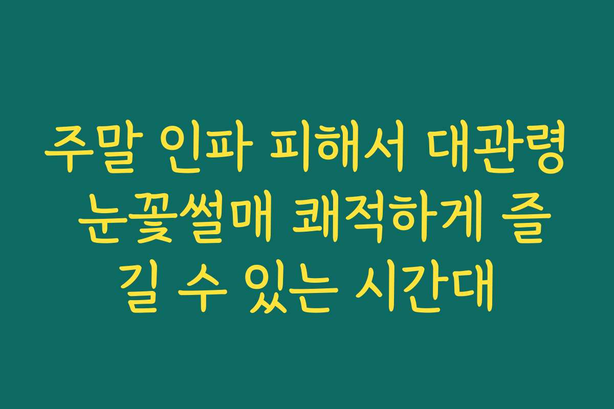 주말 인파 피해서 대관령 눈꽃썰매 쾌적하게 즐길 수 있는 시간대