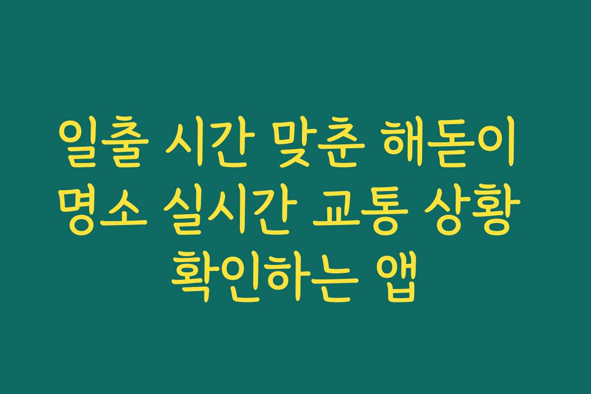 일출 시간 맞춘 해돋이 명소 실시간 교통 상황 확인하는 앱